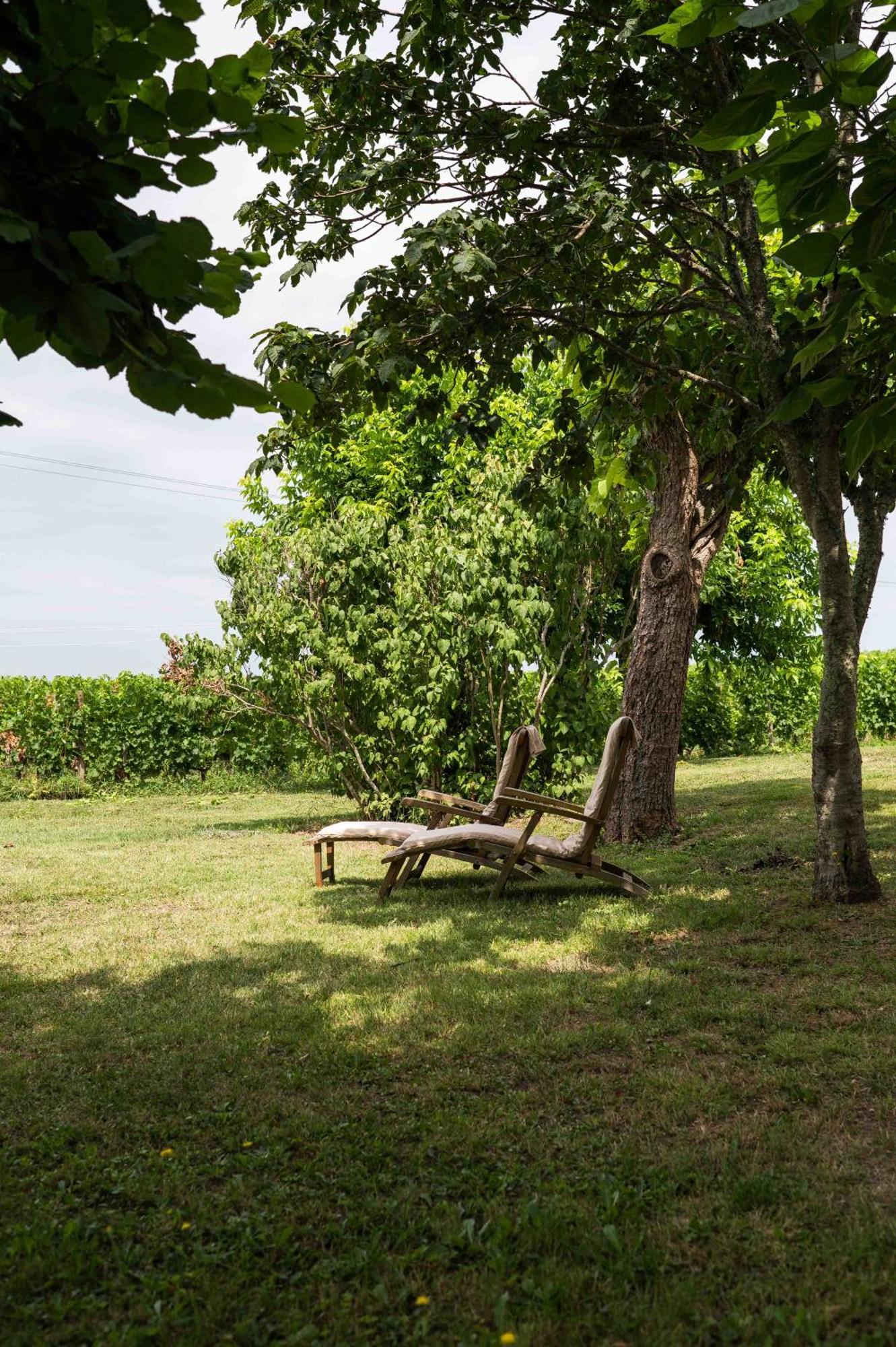 Clos De La Barbanne Montagne  Exteriör bild