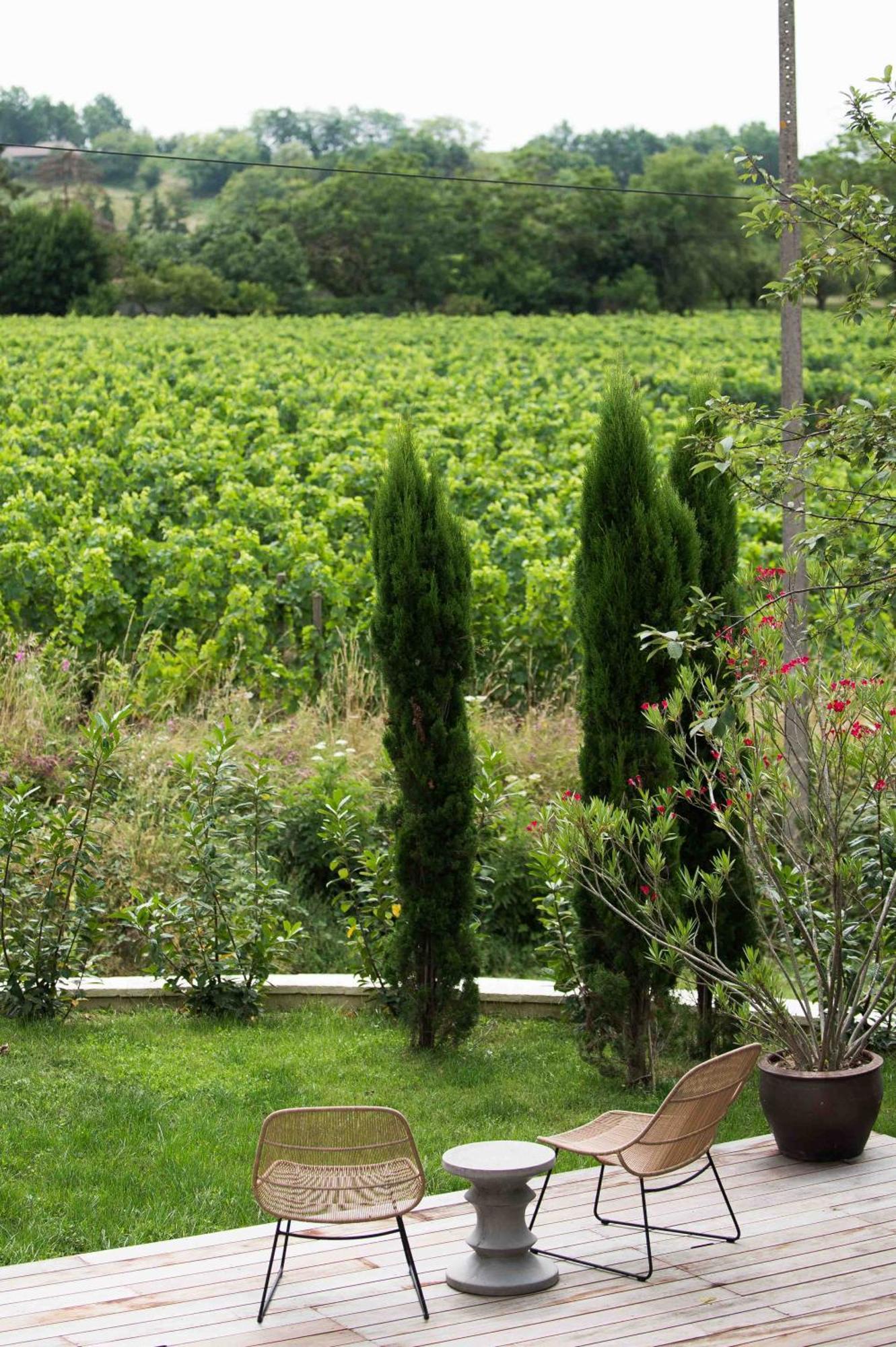Clos De La Barbanne Montagne  Exteriör bild
